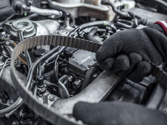 Odoo • Texto e imagen