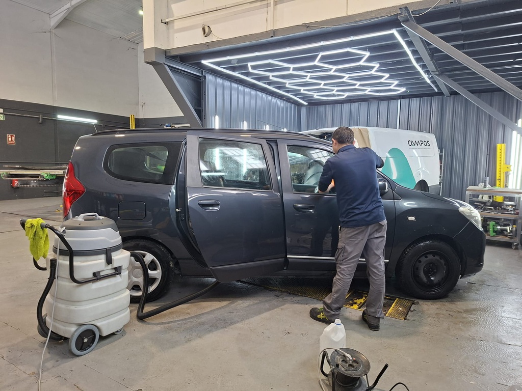 PK | Limpieza Integral (Grande)