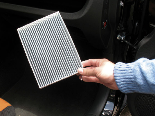 PK+TR | CAMBIO DE FILTRO DE POLEN DE CARBONO